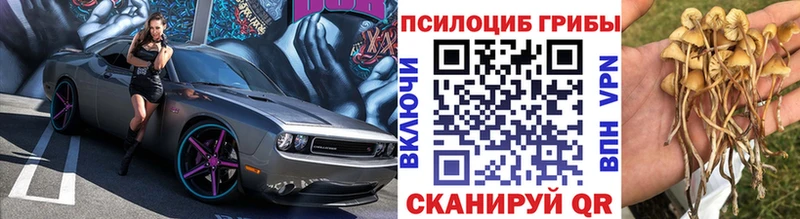 гидра как зайти  Шахунья  Псилоцибиновые грибы мухоморы 
